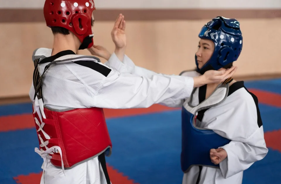 هوگو کاراته ADIDAS 4 هوگو کاراته ADIDAS