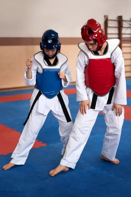 هوگو تکواندو طرح DAEDO 6 هوگو تکواندو طرح DAEDO