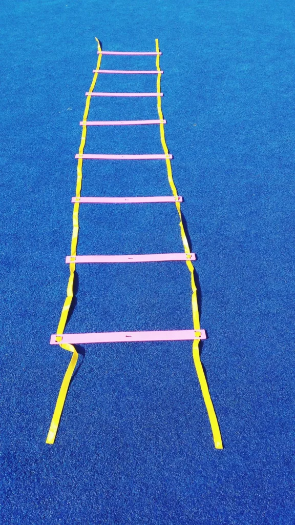 نردبان چابکی 2 صفحه حرکت نردبانی Live pro