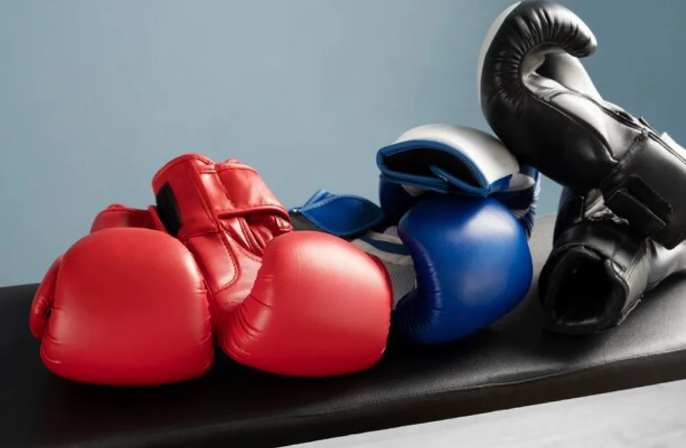 دستکش کاراته ARAWAZA 4 دستکش کاراته ARAWAZA