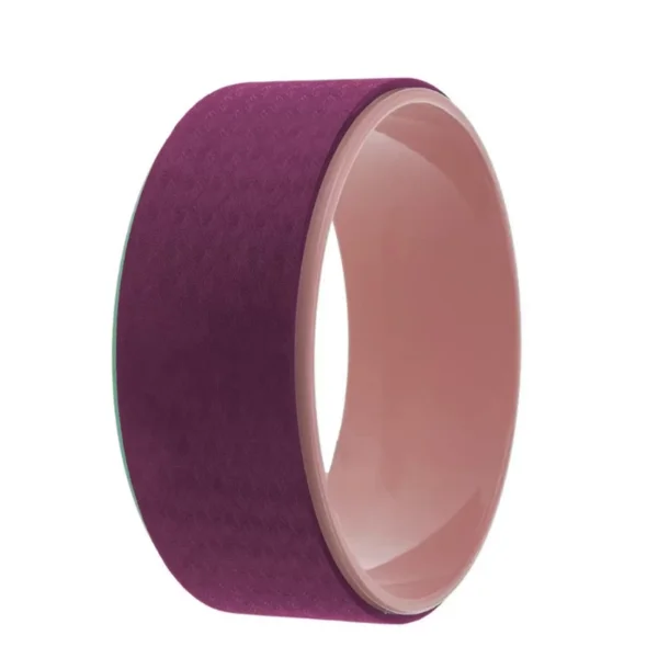 ویل یوگا yoga Wheel برند شارک 2 ویل یوگا yoga Wheel برند شارک